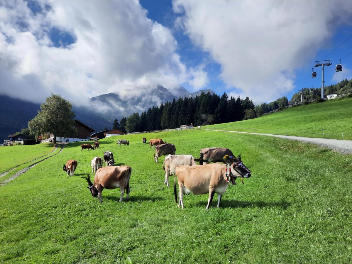 Séjour à la ferme Nockhof