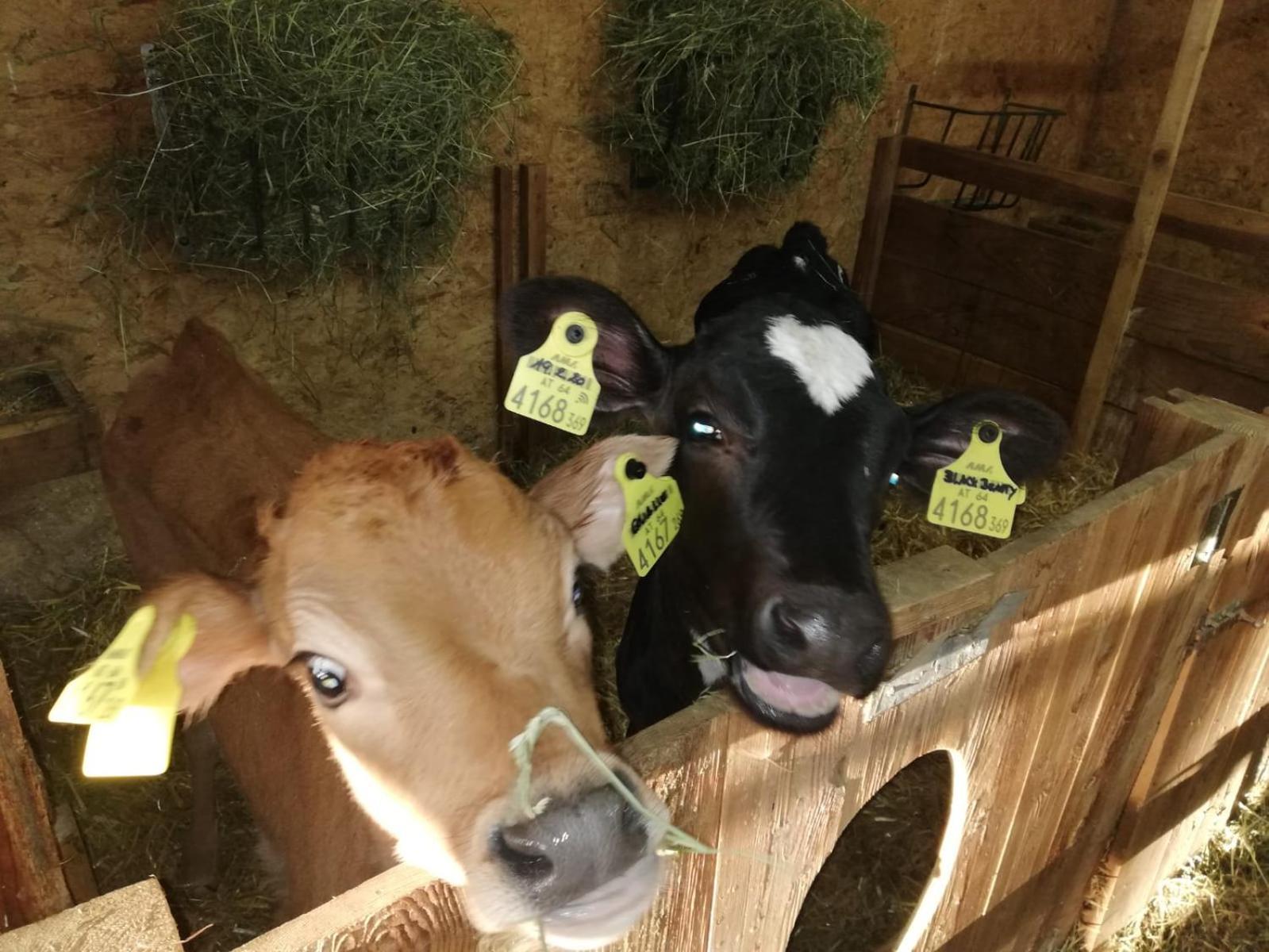 Séjour à la ferme Nockhof *