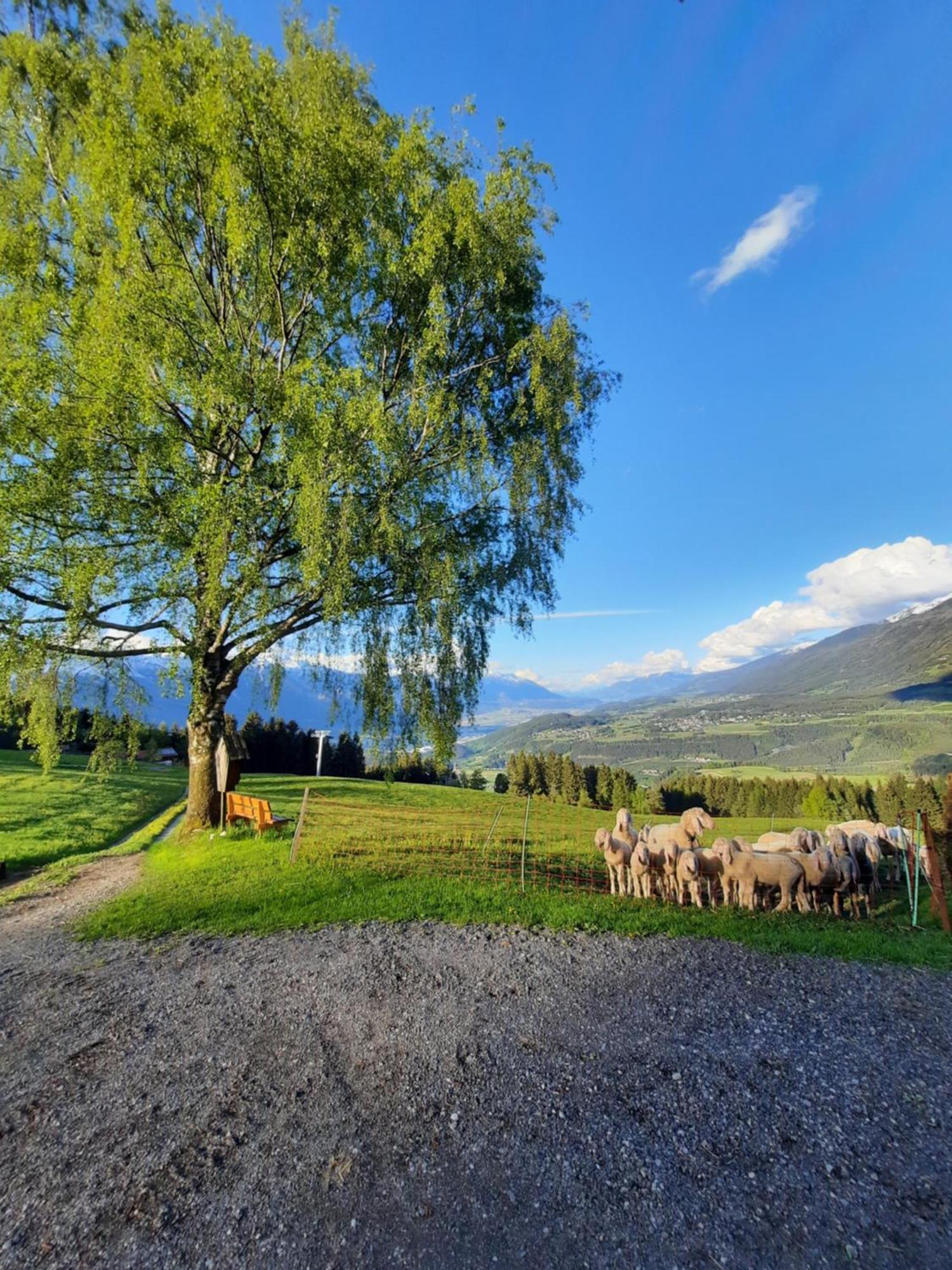 Séjour à la ferme Nockhof Innsbruck